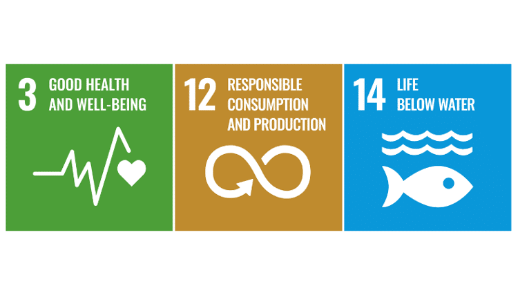 Los ODS de la ONU y los productos químicos, el aire y el agua