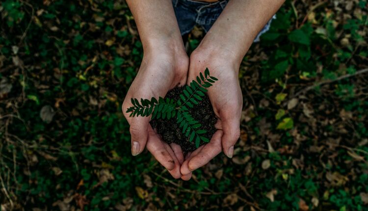 Comment les imprimeurs de livres peuvent faire une différence en matière de développement durable