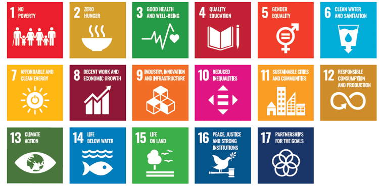 An introduction to the UN Sustainable Development Goals