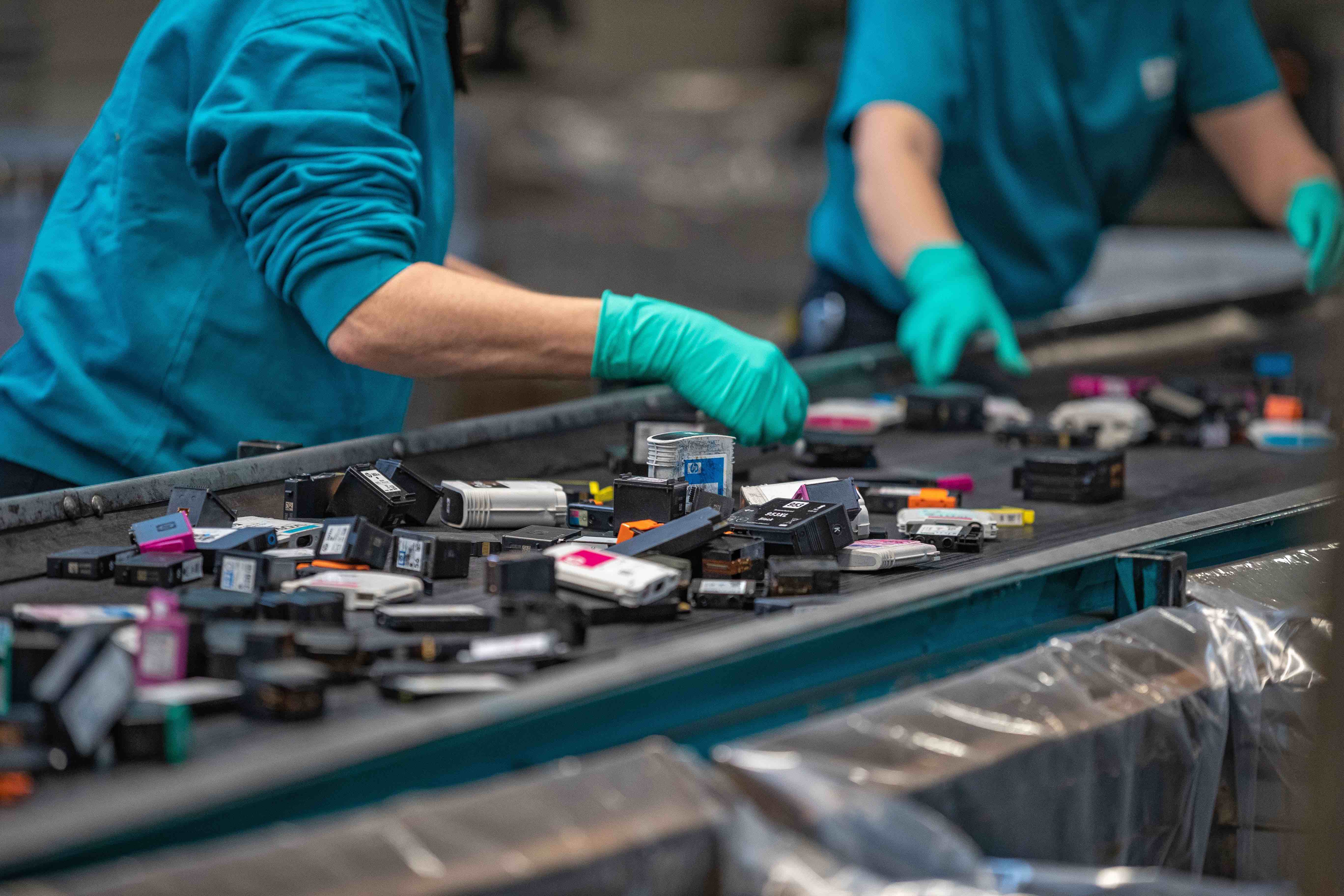 Den Nutzen des 'Going Green' erkennen