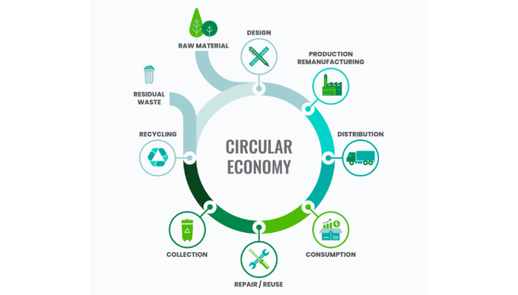 How to design for a circular economy in a linear world 