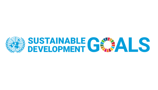 Update on the United Nations Sustainable Development Goals