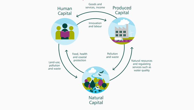 Économie, industrie et biodiversité