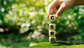 Regulation guidance: Corporate Sustainability Reporting Directive