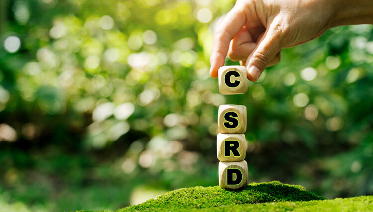 Regulation guidance: Corporate Sustainability Reporting Directive