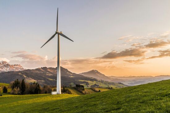 So starten Sie Ihre Reise in die Nachhaltigkeit