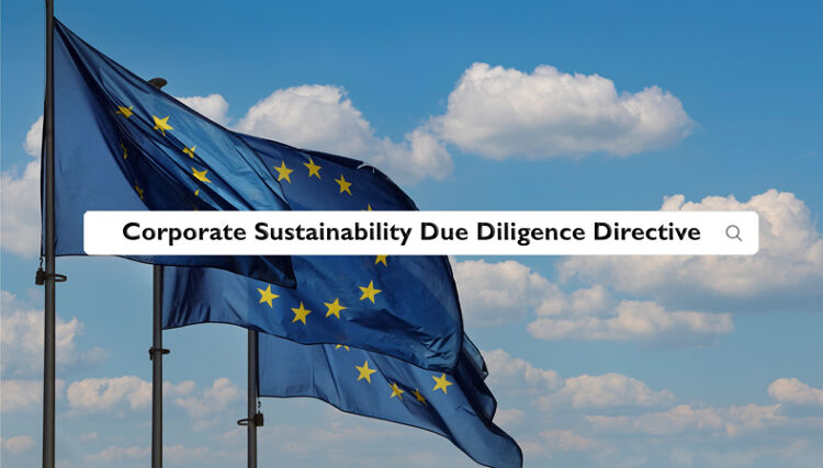  Regulation guidance: CS3D