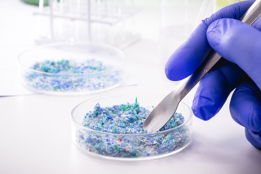 Der Aufstieg der Artenvielfalt und biotechnologisch hergestellter Materialien für die Textilherstell