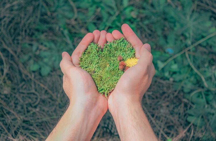 Partnering and sustainability
