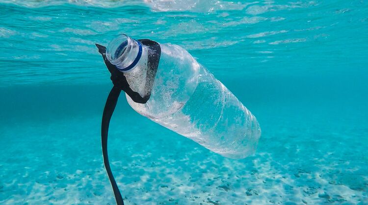 A guide to Microplastics