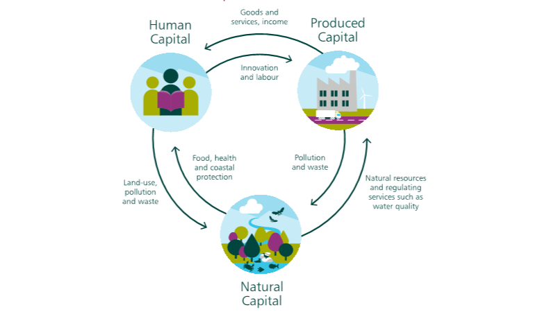 Wirtschaft, Industrie und Biodiversität