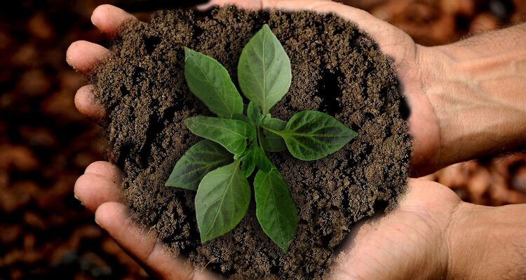 Por qué necesita un oficial de sustentabilidad