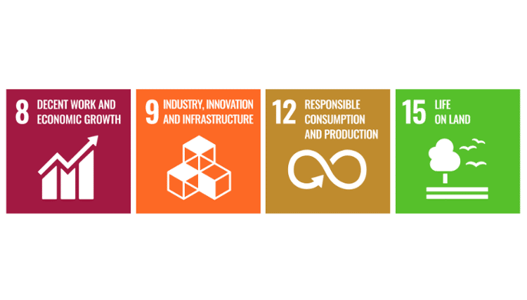 The UN SDGs and resource use