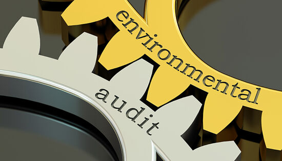 The challenges of environmental auditing and self-certification 
