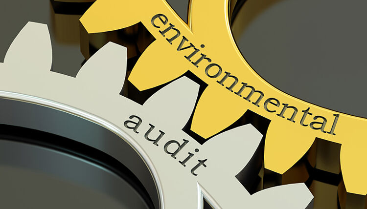 The challenges of environmental auditing and self-certification