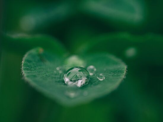 Points of sustainability progress