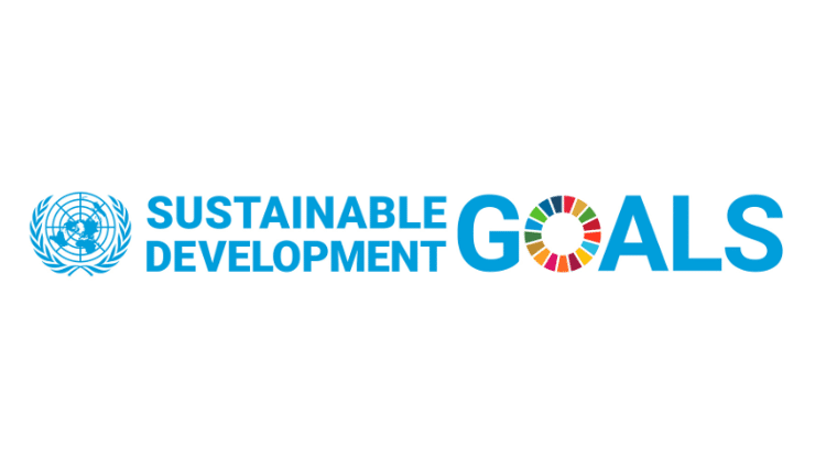Actualización sobre los Objetivos de Desarrollo Sostenible de las Naciones Unidas