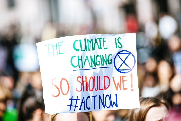 COP Clima y Biodiversidad 2022